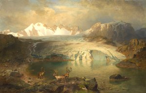 Fjordlandskap med glaciär och ren